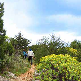 Trails of Sifnos