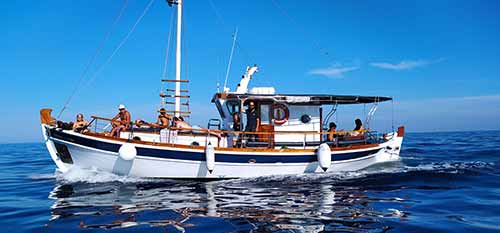 sea excursions in Sifnos